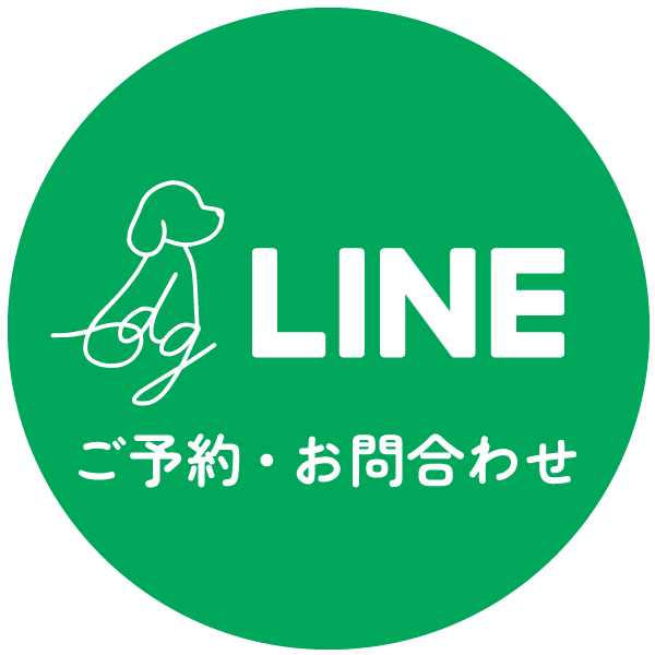 公式LINE