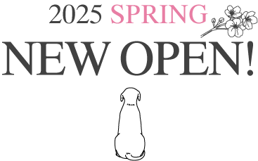 2025年春 オープン